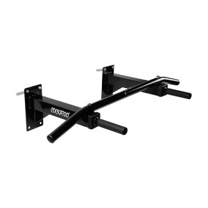 Wall Mounted iron gym